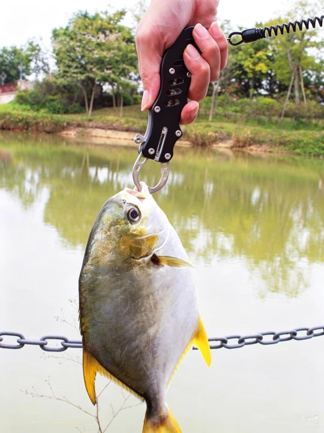Multifunctional Stainless Stee - đánh giá và giá Baitcasting Reel